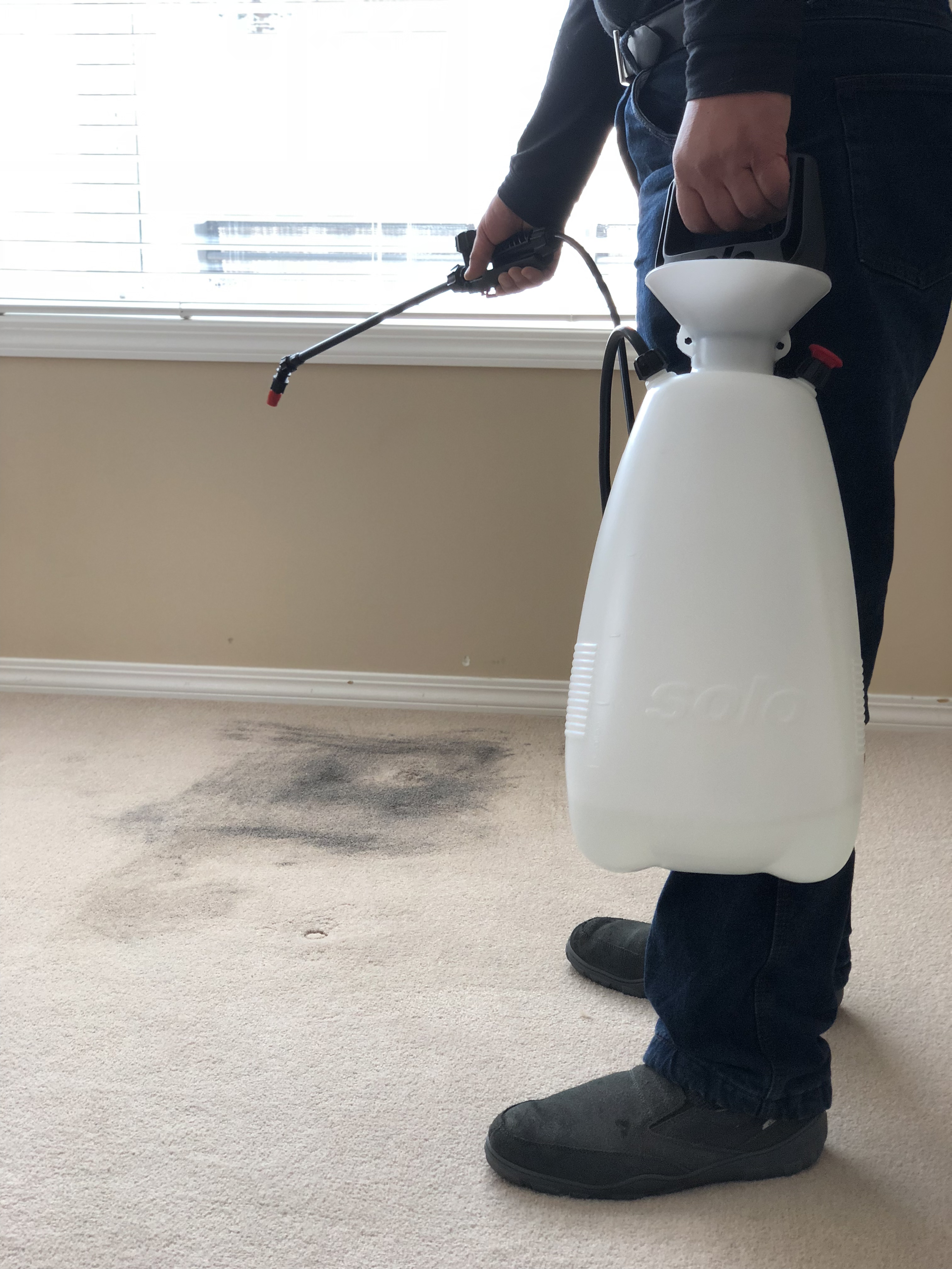 3 Reasons You’ll Want a Professional to Clean Your Carpet - Fresh Air Furnace - Furnace Services Calgary